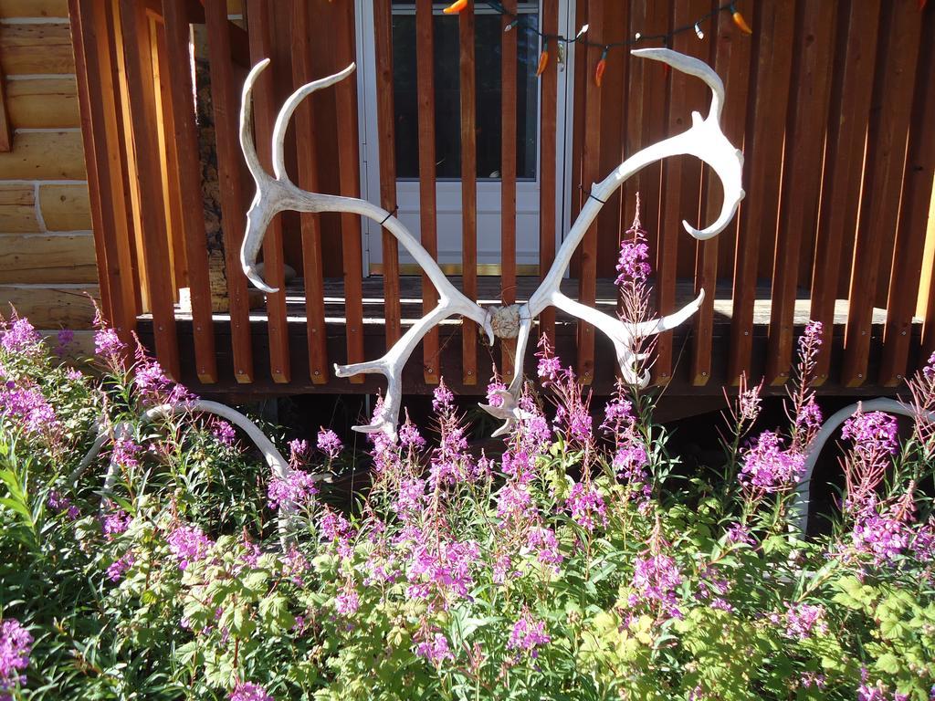 Antler's Rest Bed & Breakfast *